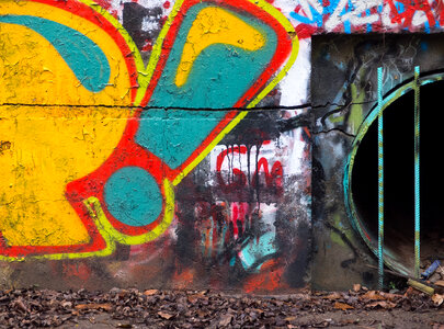 Urban Wall Art photo