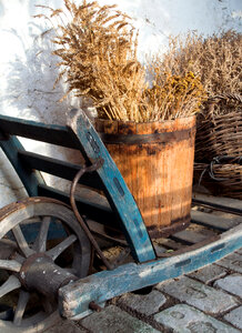 Wheelbarrow And Herbs On A Farm photo