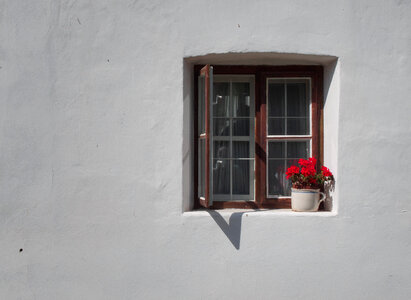Vintage window with red flowers on white wall photo