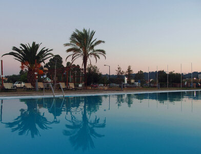 Swimming Pool And Palm Trees photo