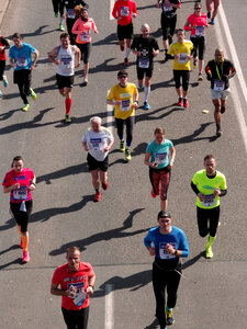 Marathon runners photo