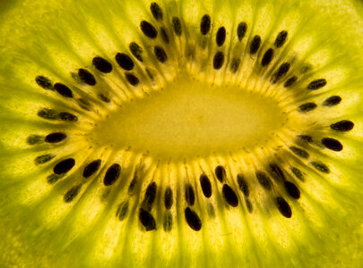 Kiwi slice closeup