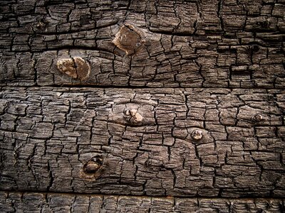 Burnt wood texture photo
