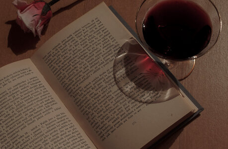 Book, wine and rose photo