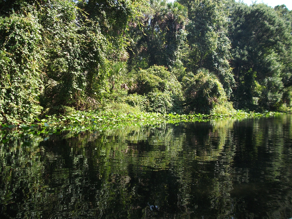 Landscape wilderness scenery