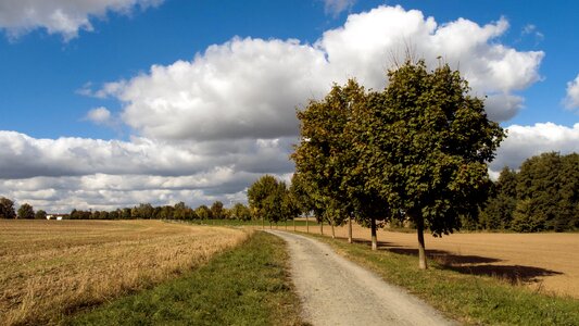 Village path through the fields