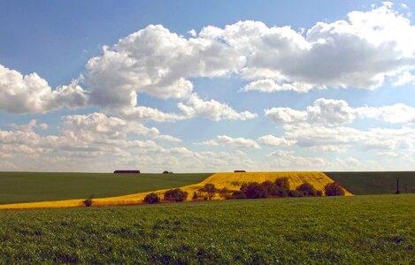 Field