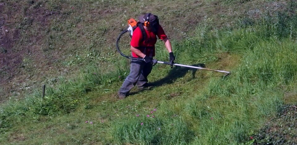 Worker Gardener