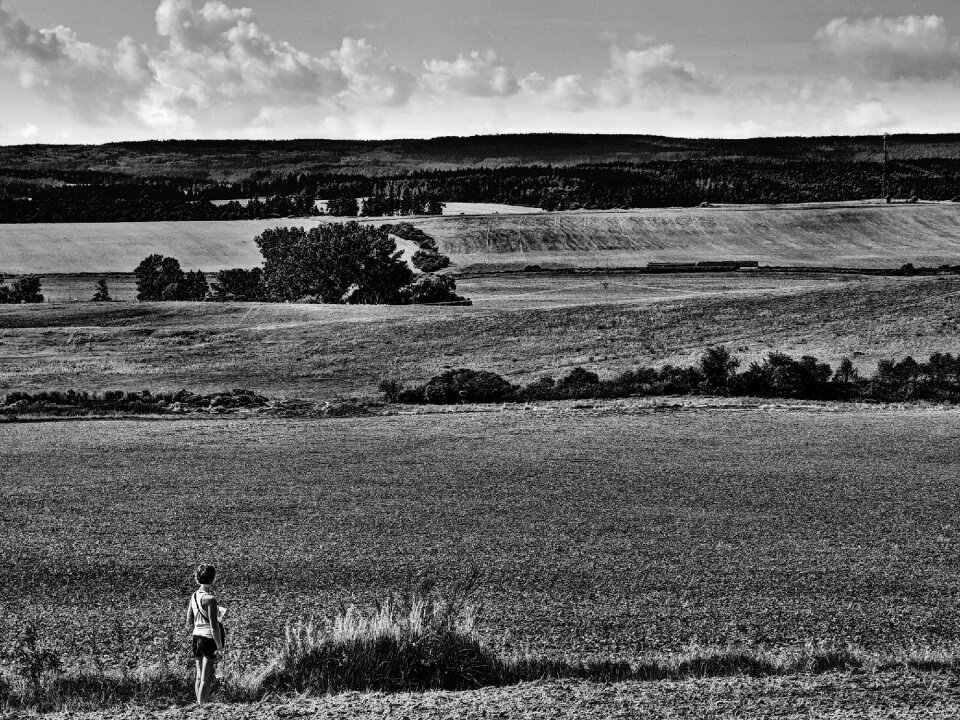 Girl In The Fields