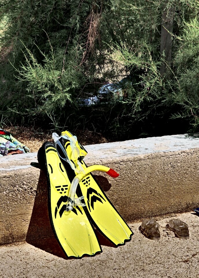 Snorkeling Equipment