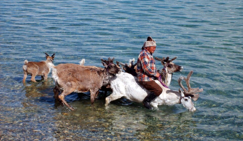 Reindeer People