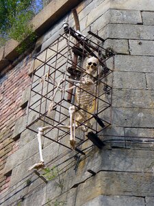 Human skeleton in Cage