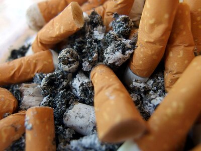 Cigarette Butts in Ashtray photo