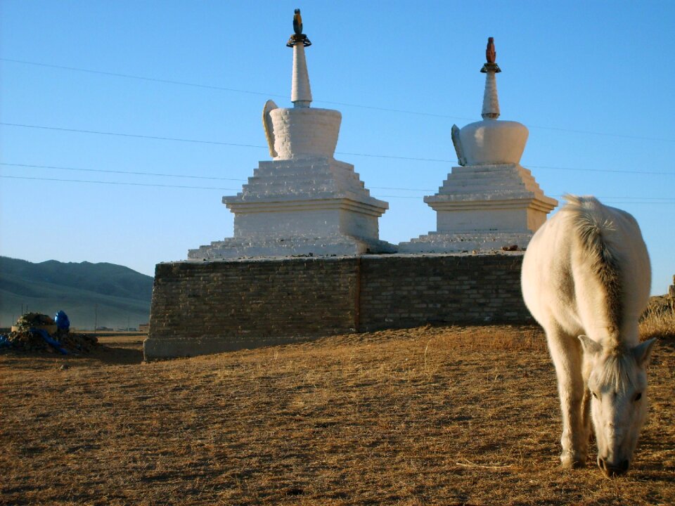 White Horse Buddha