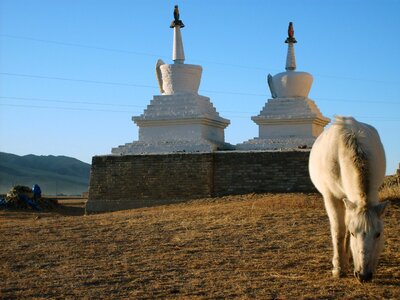 White Horse Buddha photo