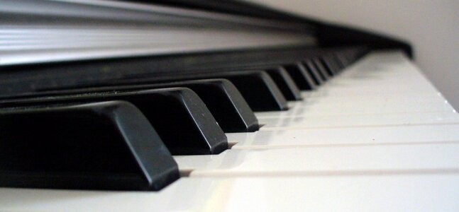 Piano Keys photo