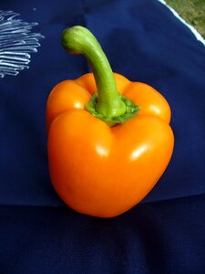 Orange pepper photo