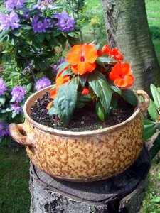 Flowerpot with flowers