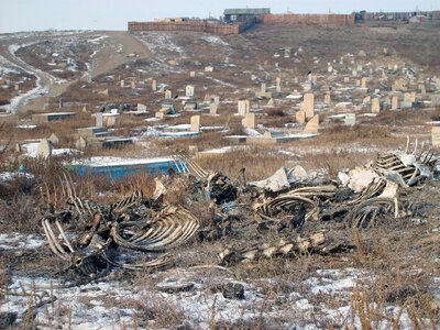 Cemetery in Ulaanbaatar photo