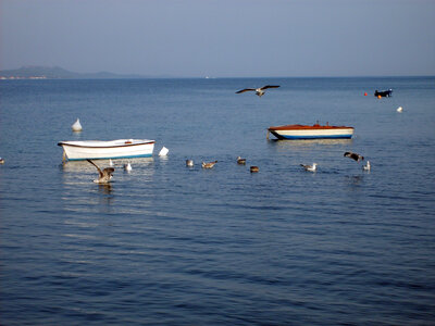 Rowboats in Croatia