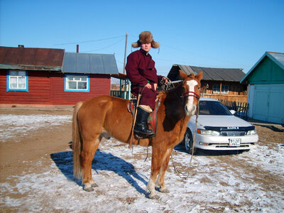 Mongolian man and horse photo