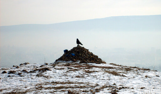 Mongolian ovoo and raven photo