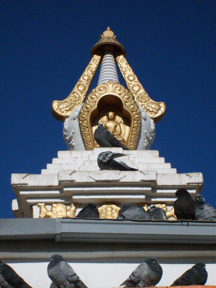Buddhist stupa and pigeons
