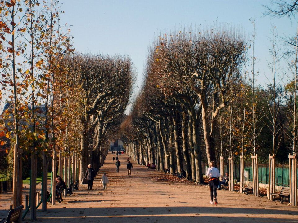 Autumn park in Paris