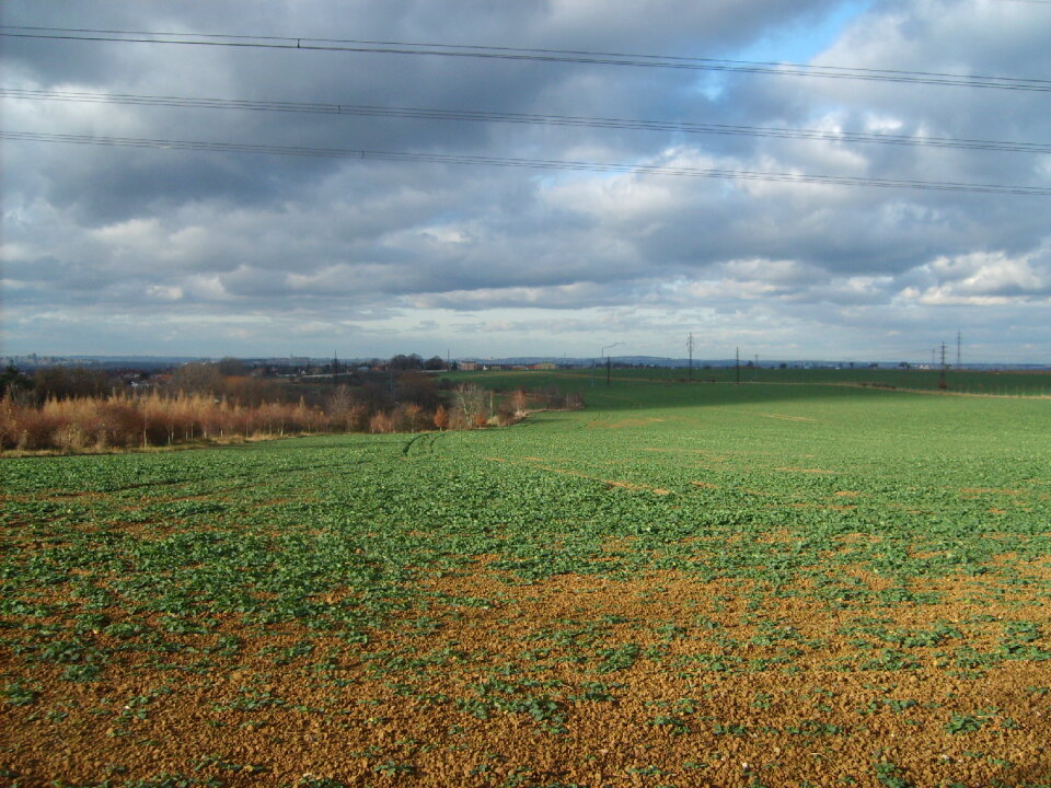 Field in Czech republic