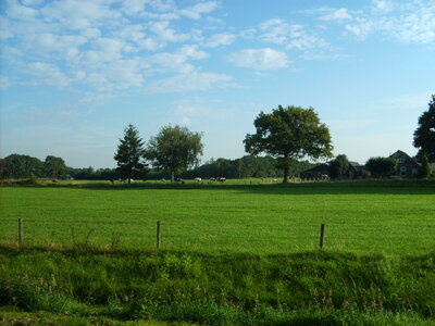 Spring meadow in the Netherlands photo