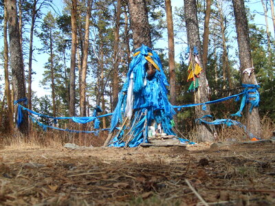 Shamanic place in the forest, Mongolia photo