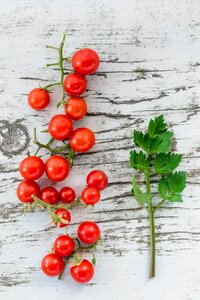 Red, hot & green fresh cherry photo