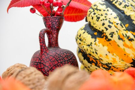 3 Autumn colors: red decorative plants