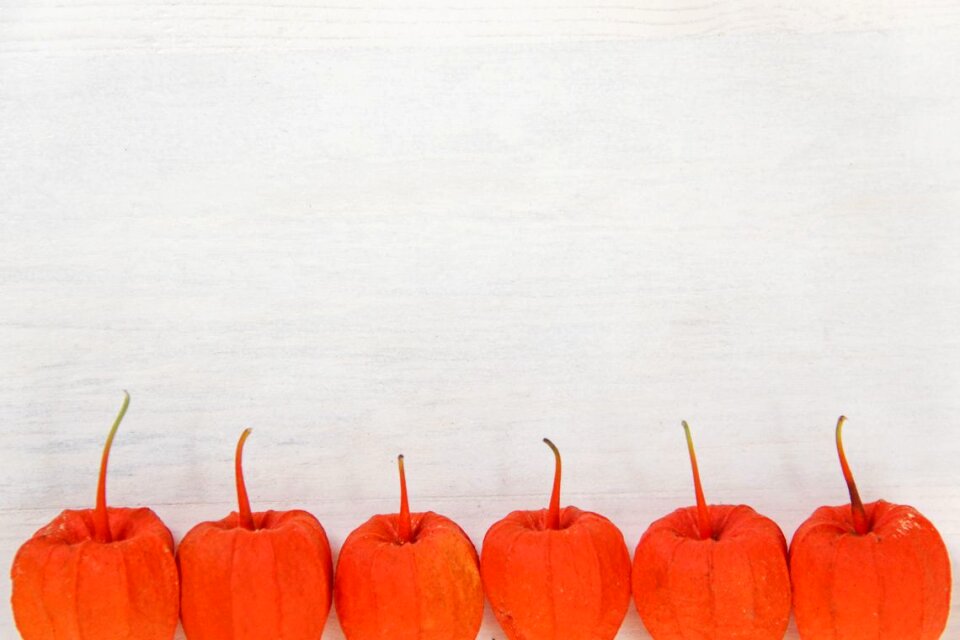 9 Autumn colors: red decorative plants
