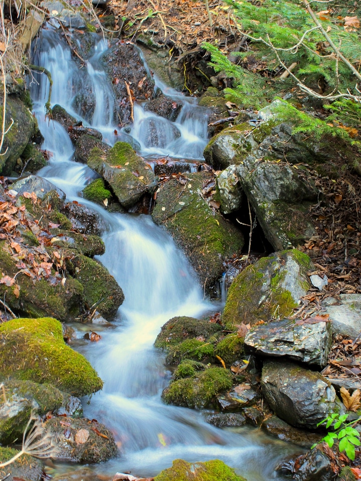 Nature flow green