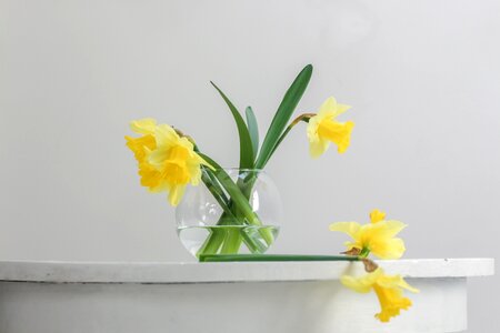 2 Spring flowers flower table