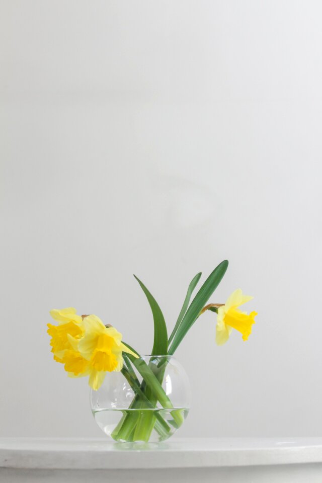 1 Spring flowers flower table