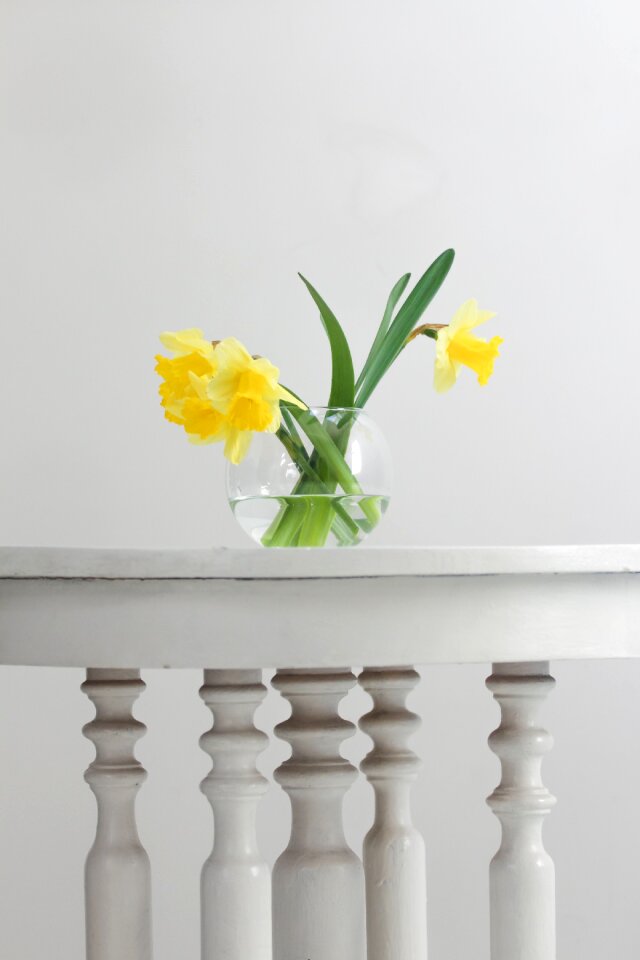 4 Spring flowers flower table