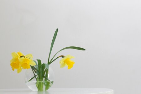 3 Spring flowers flower table