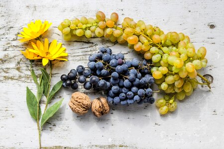 2 Grapes & sunflowers grapes wooden texture photo