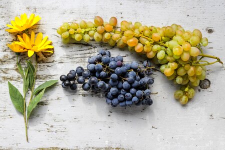 Grapes & sunflowers helthy grapes photo