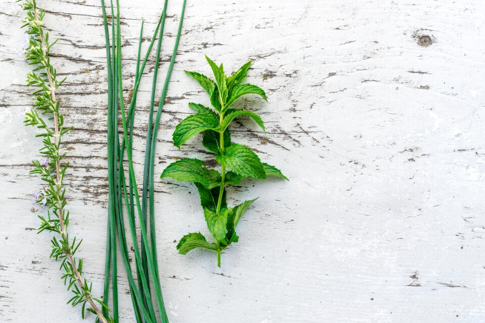 chives mint rosemary photo