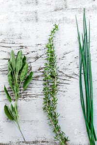 1 sage chives rosemary