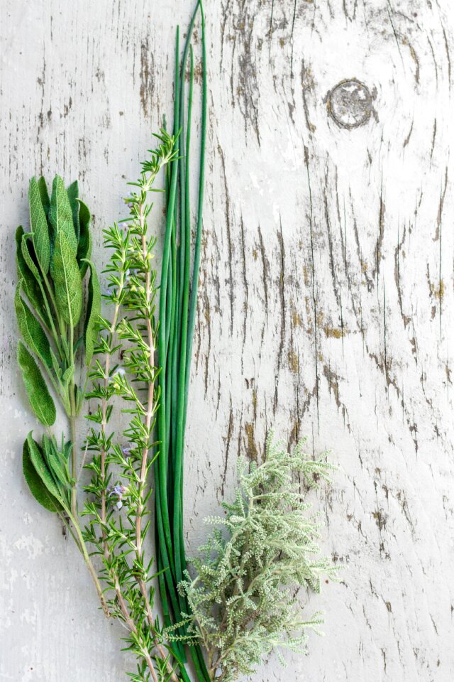 sage chives basil