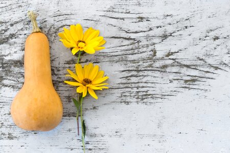 vegentables Autumn colors: orange & yellow wooden background