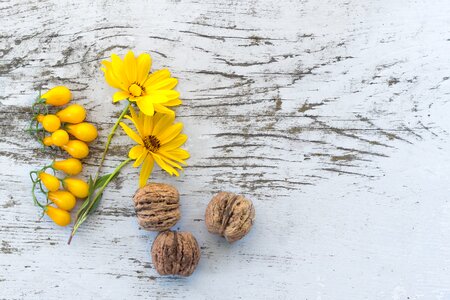 3 yellow tomato natural Autumn colors: orange & yellow photo