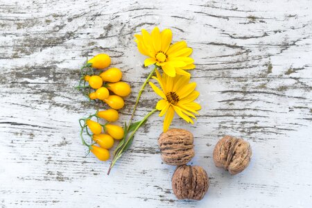 yellow tomato natural fresh photo