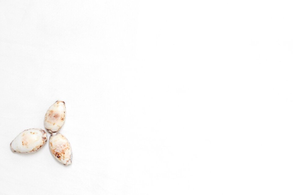 5 Summer memories shells summer