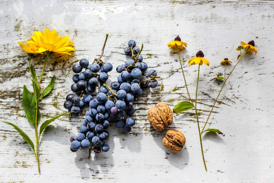Grapes & sunflowers grapes wood