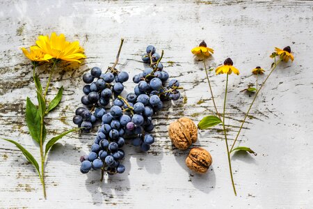 Grapes & sunflowers grapes wood photo